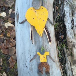 5/20/26, 1 CE, LIVE WEBINAR: Nature Informed Clinical Interventions For Any Setting