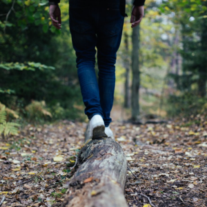 WEBINAR: Introduction to Nature-Based Therapy: Attunement, Connection, and Collaboration with Nature (1 hour, 11/14/25 12-1PM PST)