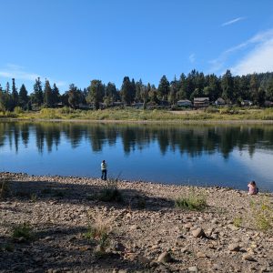 WEBINAR, PART 1 ONLY: Neurodiversity Through a Nature-Based Lens: Conceptualizing Neurodivergence (3 CE NASW Approved, Part 1 [12/12/25 12-3pm PST])